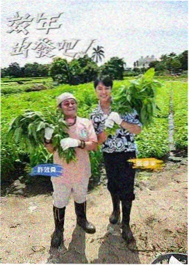 微微一笑很倾城 群像花絮